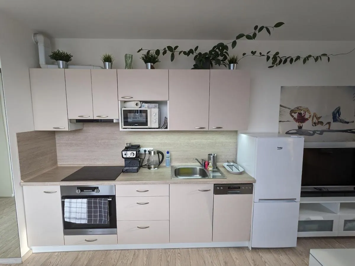 Cozy Apartment With Big Terrace In Central Prague - Karlin